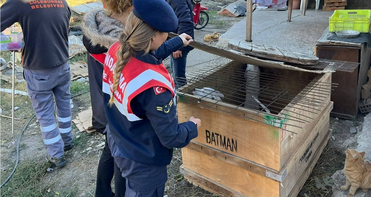 Kırklareli’nde Yasaklı Köpek Irkı Besleyen Vatandaşa Büyük Ceza